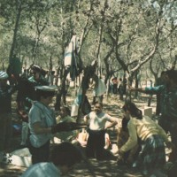 1984-Día Juniors Torrent
